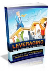 Leveraging Your Businesses in the 21st Century